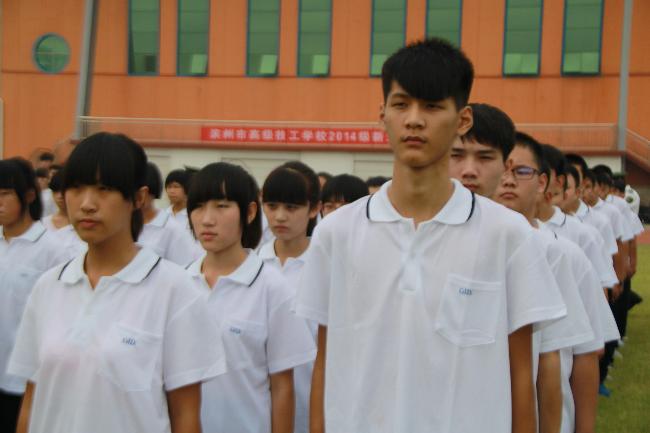 炎炎烈日下挺拔的身姿